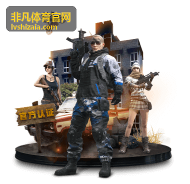 非凡体育官网入门参与指南的室内场馆活动场景
